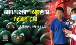 今日吃瓜完整版免费,完整版免费放送，热点追踪不容错过